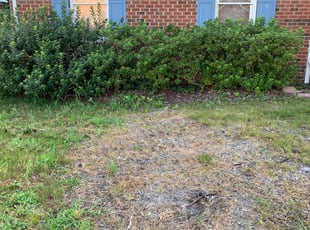 Bush Trimming by James Hill for Charles K. in Chesapeake, VA