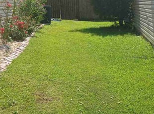 Chad A.'s Lawn Maintenance service result