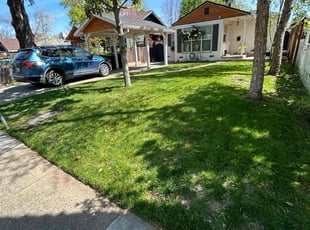 Mark B.'s Lawn Care service result
