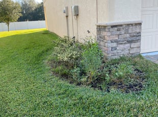 Bush Trimming by William Thayer for Shanese C. in Tampa, FL