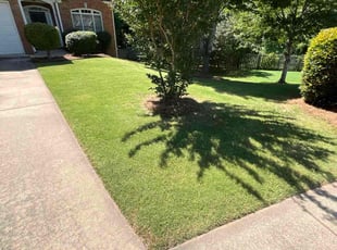 Erik G.'s Lawn Service service result