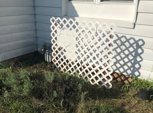 Weeding by Philip Jones for Crystal F. in Belleville, IL