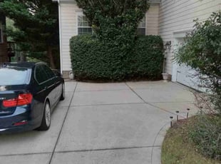 Bush Trimming by Andre Thompson for David S. in Charlotte, NC
