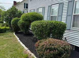 Bush Trimming by Henry Jimenez for Easton L. in Vernon, CT