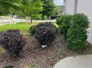 Bush Trimming by Wildart Duverson for Makeesa I. in Dallas, GA