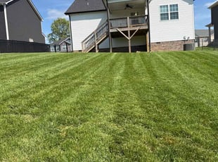 Renee I.'s Grass Cutting service result