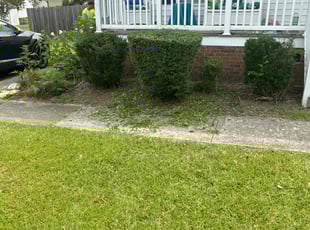 Bush Trimming by Billy Bryant for Debra L. in Clayton, NC