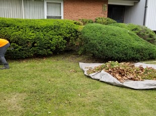 Bush Trimming by Miguel Santos for Joan D. in Washington, DC