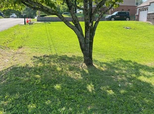 Cleanups by Kevin Corbin for Lori B. in Chattanooga, TN