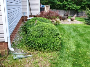 Bush Trimming by Chris Thomas for Austin C. in Dale, VA