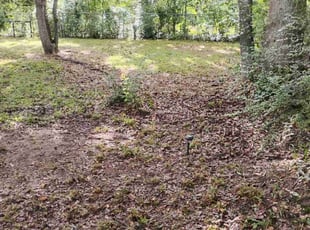 Cleanups by Chadwick Freeman for Katelin M. in Mobile, AL
