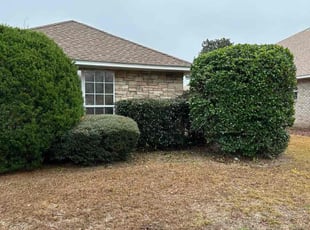 Bush Trimming by Travis Frederickson for Leigha S. in Pensacola, FL