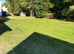 Talita B.'s Lawn Care service result