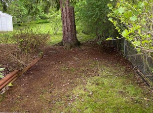 Leaf Removal by Andrew Rotelli for Isaiah A. in Syracuse, NY