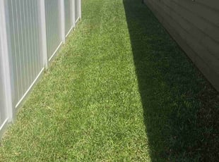 Audrey k.'s Lawn Mowing service result