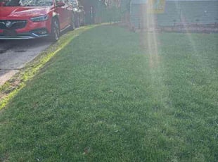 Martin A.'s Lawn Service service result
