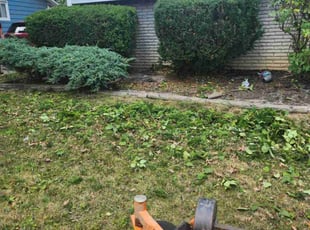 Bush Trimming by Richard Vonderau for MIchael Y. in Brook Park, OH