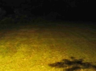 Cleanups by Kendal Hermanson for Missy C. in Bethpage, TN