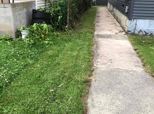 Cleanups by Lucas Muller for Patrick H. in Schenectady, NY
