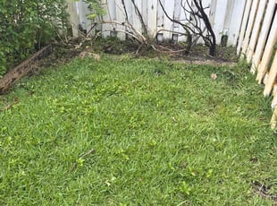 Leaf Removal by Deron Bethel for Patrice C. in West Palm Beach, FL