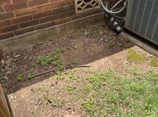 Leaf Removal by Christopher Moreno for Joannie R. in San Antonio, TX