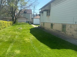 Dexter B.'s Lawn Mowing service result