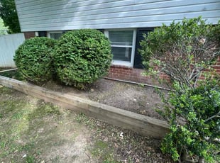 Bush Trimming by Fidel Rodriguez for Natasha N. in Alexandria, VA