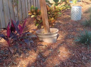Weeding by Kenneth Hall for Josh N. in Orlando, FL