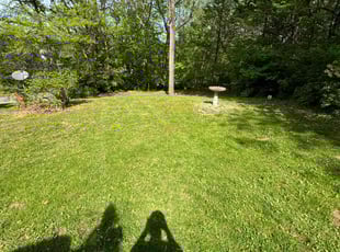 Emily D.'s Lawn Service service result