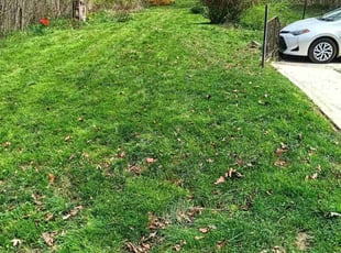 Cleanups by Leah Liggons for Sarah R. in Toledo, OH