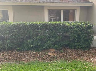 Bush Trimming by Jacob Hernandez for Stacey A. in Tampa, FL