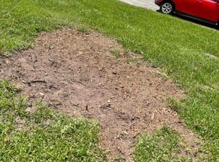 Weeding by Gerardo Marroquin for Jeanie W. in Spring, TX