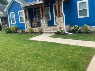 Tonya R.'s Lawn Mowing service result