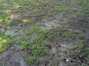 Cleanups by Terrill Williams for Natalie M. in Hampton, VA