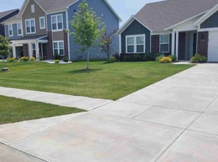 ReneΓ© H.'s Lawn Mowing service result
