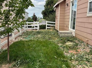 Weeding by Emma Perez for Daylan K. in Aurora, CO