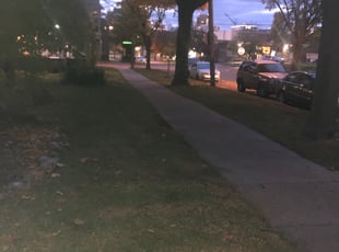 Leaf Removal by James White for Jack H. in Grand Rapids, MI