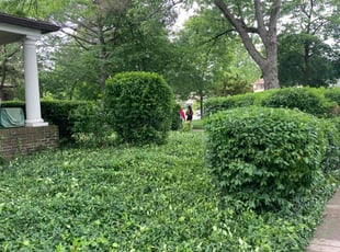Cleanups by Demetrius Bennett Jr for Ilona G. in Cleveland, OH