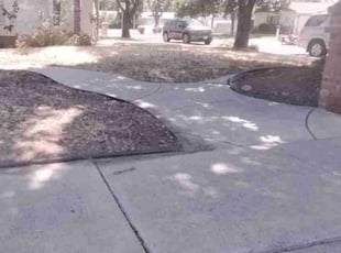 Weeding by Thomas Steeley JR for Manuel S. in Modesto, CA