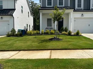 Edward A.'s Lawn Care service result