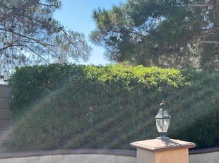 Bush Trimming by Mario Monje for Sylvia T. in Menifee, CA
