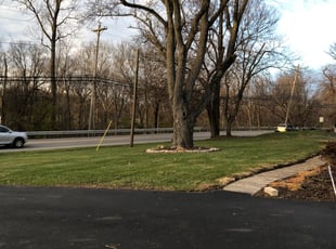 Leaf Removal by Kevin DeMarco for Shirley J. in Gahanna, OH