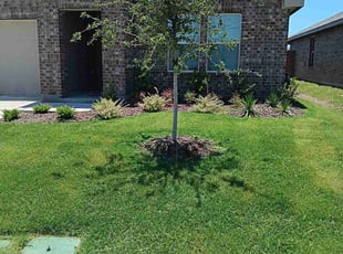 Megan R.'s Lawn Mowing service result