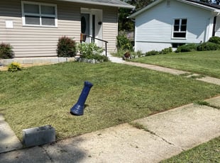 Weeding by Antwone Hooper for Teak A. in Lutherville-Timonium, MD