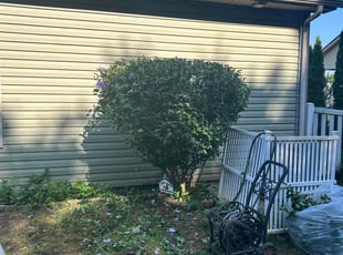 Bush Trimming by Joseph Brock for Shawn M. in Murfreesboro, TN