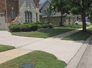 Greg L.'s Lawn Maintenance service result