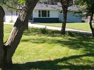 Evgeny M.'s Lawn Maintenance service result
