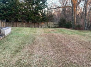 Leaf Removal by Jason Tate for Charmaine D. in Silver Spring, MD