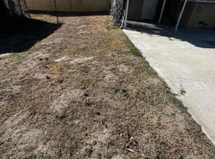 Cleanups by Samuel Benavides for Lisa J. in San Bernardino, CA