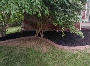 Mulching by Charles Pettit for Jordan R. in Louisville, KY